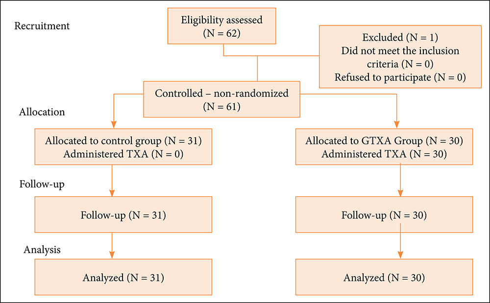 Flowchart of the patient analysis in English. At recruitment, starting from the total number of patients (62), 1 was excluded, 0 did not meet the criteria, 0 refused to participate. Allocation: starting from "Control - non-randomized (61)" comes out two arrows forming two horizontal columns. First column: allocated to control group (31), received tranexamic acid (0), follow-up (31), analysis (31). Second column allocated to the group that received tranexamic acid (30), received tranexamic acid (30), follow-up (30), analysis (30).