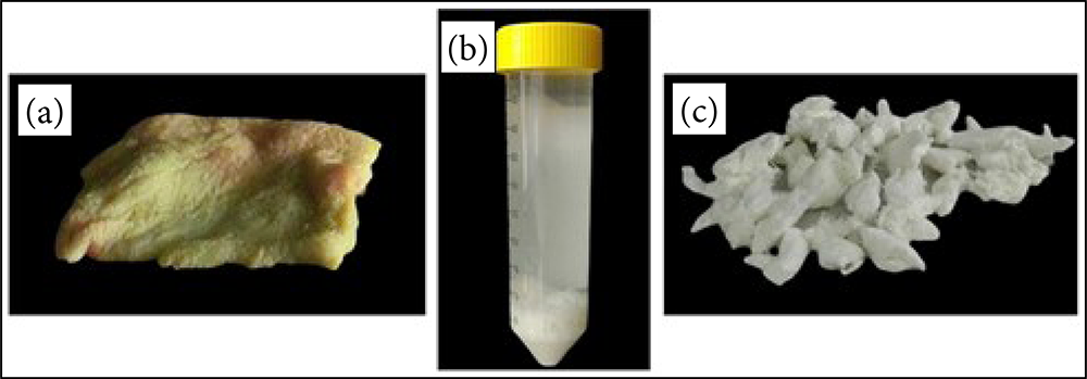 Composition of three images arranged side by side. Image 1: piece of pork skin, irregular shape similar to a rectangle, somewhat yellowish. Image 2: closed cylindrical container with a whitish product, sediment on the bottom. Image 3: white material in pieces with no defined shape.