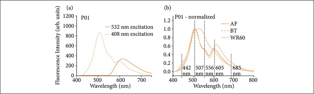 Two graphs with the axes "Fluorescence Intensity (arb. units) x Wavelength (nm). In the first, two lines (532 nm excitation and 408 nm excitation); the first rises and falls abruptly; the second rises and falls more smoothly. In the second, the AF, BT and WR60 lines show similar rises and falls (rises abruptly, falls to almost half, rises a little, falls and stays stable).