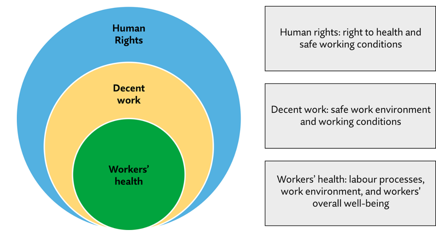 Graph representing Multilevel connection and interrelation between human rights, decent work and workers’ health. Graph representing Multilevel connection and interrelation between human rights, decent work and workers’ health.