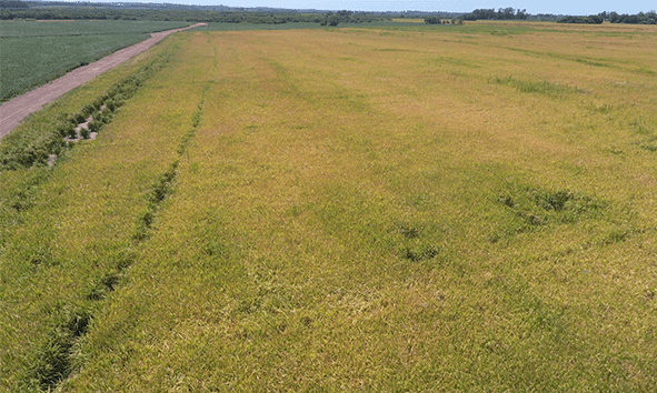 A photograph of a field. A photograph of a field.