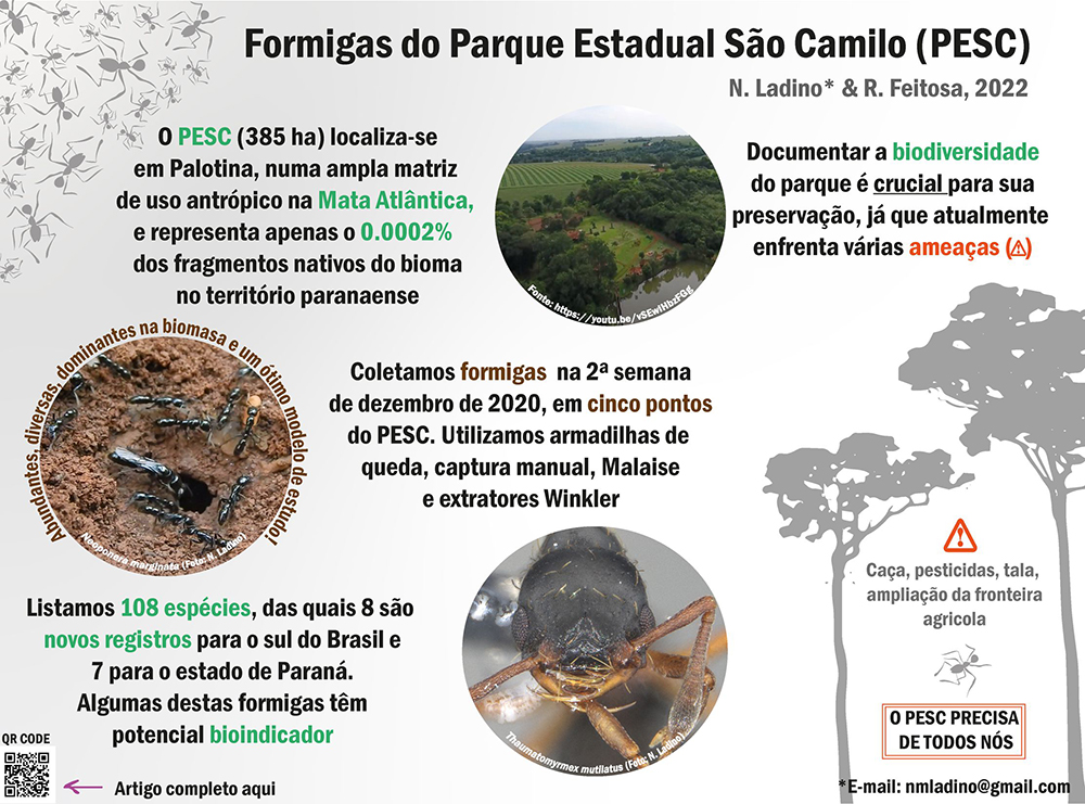 Infográfico sobre as formigas do Parque Estadual São Camilo (Palotina, PR).