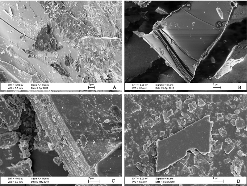 Quatro imagens microscópicas da biotita, um mineral. Nas quatro imagens, algo que parece ser uma placa de vidro quebrado em diferentes ângulos.