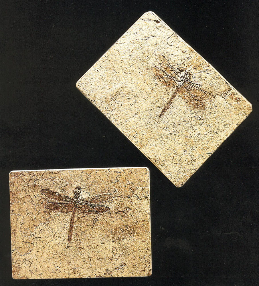 Libélula fóssil (parte e contraparte), encontrada nas camadas calcárias da Formação Crato (115 milhões de anos), exploradas por mineradoras locais. Material perdido no incêndio do Museu Nacional/UFRJ.