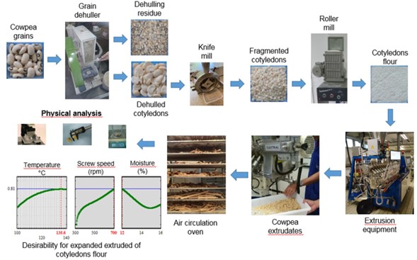 Resumo gráfico do processo de obtenção de extrusados expandidos de farinha de cotilédones de feijão-caupi com características físicas desejáveis.