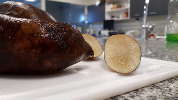 Foto de uma batata yacon sobre uma mesa de laboratório. Do lado, um pedaço cortado mostrando a parte interna do yacon.