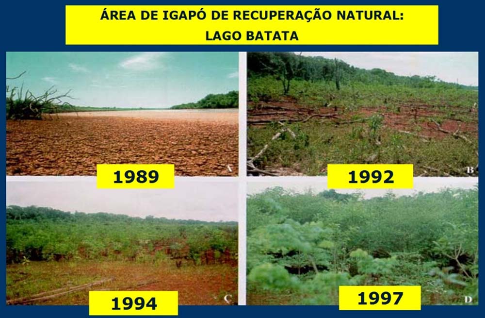 Fotomontagem mostrando a recuperação do Lago Batata ao longo dos anos