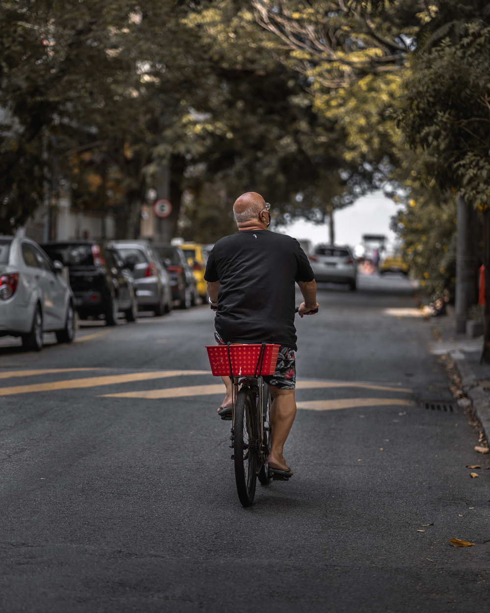 Idoso desfrutando de um passeio de bicicleta pelo meio de uma rua arborizada, ladeada por árvores dos dois lados e com alguns carros. Na fotografia, ele direciona seu olhar para uma das árvores, no lado direito.