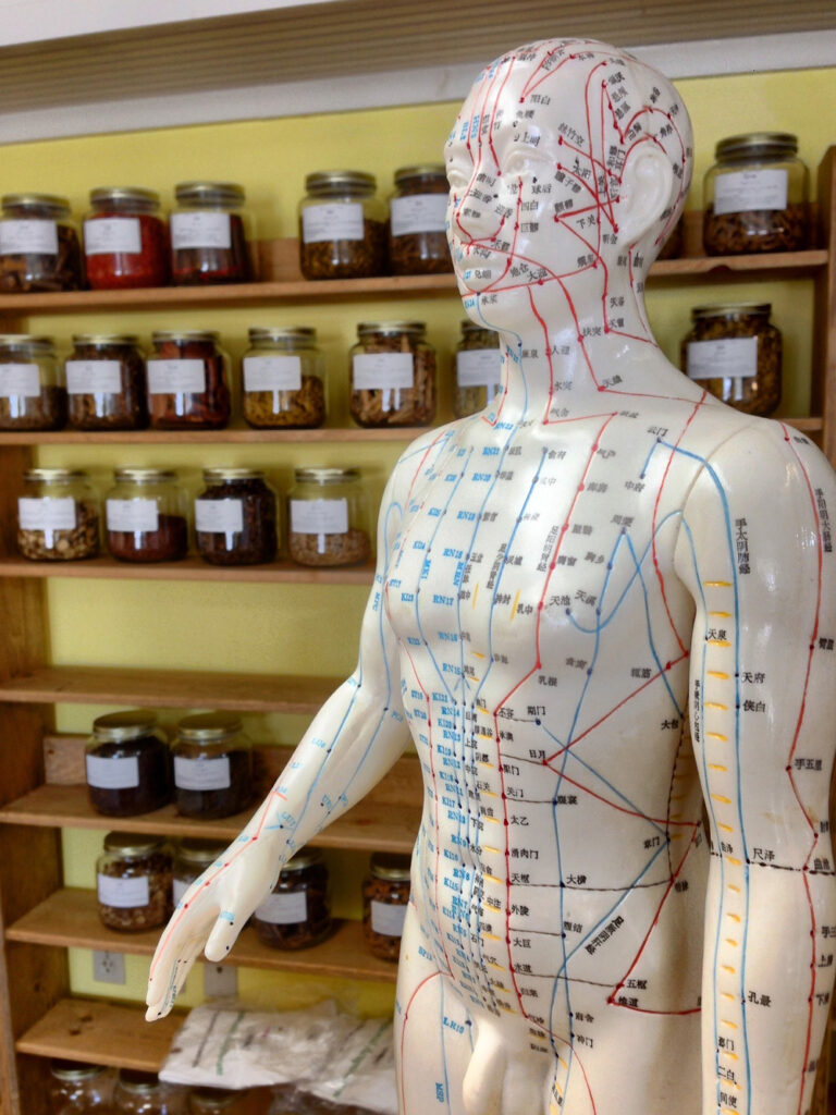 Manequim com mapa de pontos de acupuntura à frente de uma parede amarela com diversas prateleiras contendo potes de ervas e produtos alternativos.