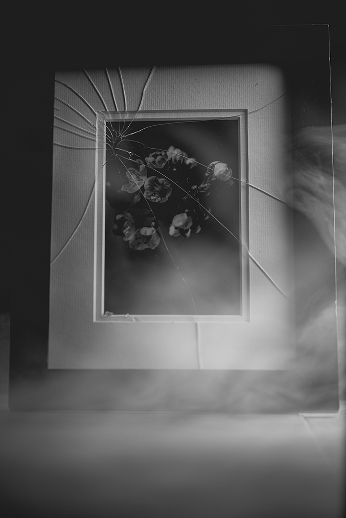 Imagem em preto e branco de moldura quebrada com uma fotografia de flores Imagem em preto e branco de moldura quebrada com uma fotografia de flores