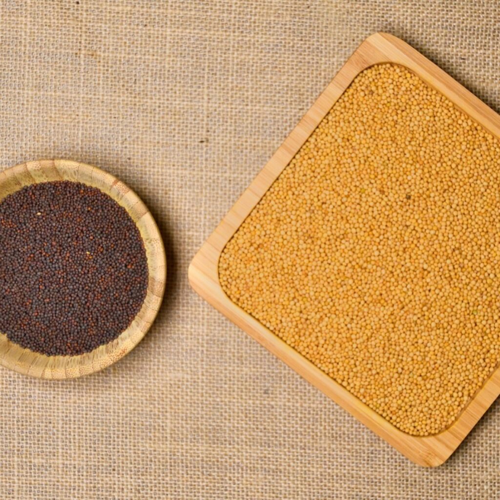 A imagem mostra uma composição simples e ordenada de dois recipientes contendo sementes. • SciELO em Perspectiva | Press Releases A imagem mostra uma composição simples e ordenada de dois recipientes contendo sementes.