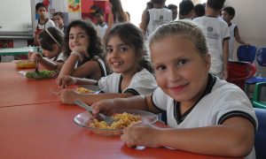 Food and Nutrition Policies from Lula to Temer: from strengthening to ...