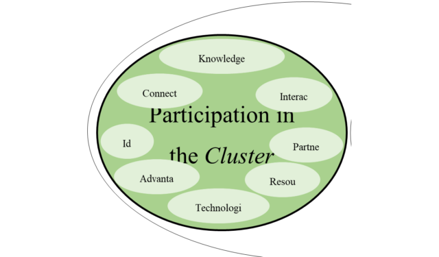 Scheme explaining the levels of participation of a Cluster
