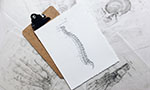 Photo: illustration of a spine in gray tones on a cardboard paper. Below a wooden board. In the background, illustrations on butcher paper in different sheets spread over a surface (hand bones, skull, foot bones).