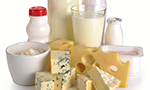 Variety of dairy products, including milk in bottles and a glass, various cheeses, yogurt in containers, and a bowl of cottage cheese displayed on a white background.