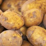 photograph of potatoes