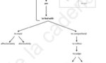 Image of a mind map about the act of empathy.