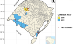 Map showing the distribution of two FMD outbreaks in Rio Grande do Sul, Brazil. The municipalities involved in the outbreaks are represented by yellow (2000) and blue (2001) areas. The locations of infected farms are represented by red dots.