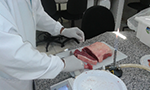 Estudo analisa presença de bactérias na carne embalada a vácuo