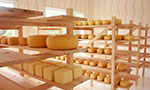 Modelos matemáticos são utilizados para inativar patógenos durante maturação de queijos artesanais serranos