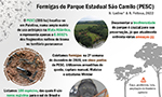 Infográfico sobre as formigas do Parque Estadual São Camilo (Palotina, PR).