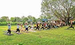 Foto: aproximadamente 30 pessoas fazendo yoga sobre tapetes. Elas estão lado a lado imitando um professor que está na frente. Estão todos em um gramado. No fundo, muitas árvores.