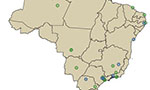 Mapa do Brasil com fronteiras geográficas. Círculos verdes indicando cidades de médio e grande porte. Duas listas com os nomes das cidades de cada categoria.
