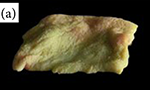 Foto: pedaço de pele suína, formato irregular semelhante a um retângulo, meio amarelado.