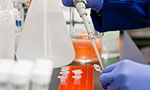 Foto: mesa de laboratório com recipientes e pequenos frascos. Uma pessoa com luvas segura um objeto cilíndrico parecido com um conta gotas e está transferindo o conteúdo para um pequeno frasco.