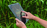 Fotografia de uma pessoa usando um tablet que exibe uma nuvem de palavras enquanto está em um campo com plantas altas e verdes ao fundo.