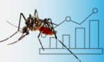 Montagem de uma imagem de um gráfico com uma fotogradia de um mosquito Aedes aegypti sobreposta