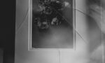 Imagem em preto e branco de moldura quebrada com uma fotografia de flores
